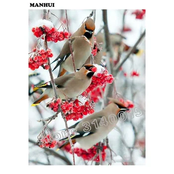 NEW Full diy Daimond Painting Diamond Mosaic full square rhinestones diamond painting embroidery Little birds red fruit BFC215
NEW Full diy Daimond Painting Diamond Mosaic full square rhinestones diamond painting embroidery Little birds red fruit BFC215