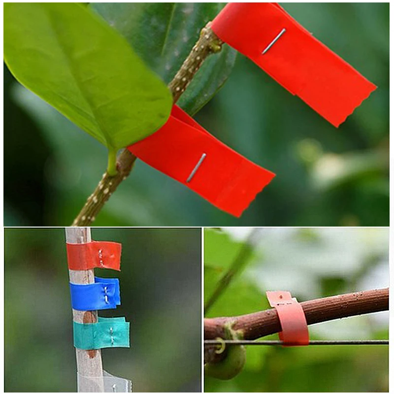 20 PCS Tapes PVC Garden Tools Tying Machine Vegetable Fruit Tree Tapenter Plant Tie Tapetools Branch Tape Tool Dropshipping
20 PCS Tapes PVC Garden Tools Tying Machine Vegetable Fruit Tree Tapenter Plant Tie Tapetools Branch Tape Tool Dropshipping