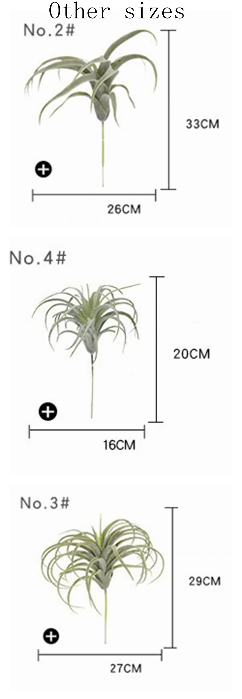 5269015305_1245478559