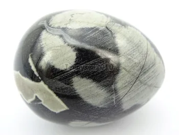Natural Collectible Silver Leaf Jas-per Gems Stone Egg Decor Statue Sphere Handball Health Massager 5Pcs/Pack
Natural Collectible Silver Leaf Jas-per Gems Stone Egg Decor Statue Sphere Handball Health Massager 5Pcs/Pack
