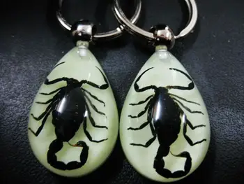 Free Shipping 17 pcs real insect black scorpion key ring glow in the dark drop design keychain
Free Shipping 17 pcs real insect black scorpion key ring glow in the dark drop design keychain