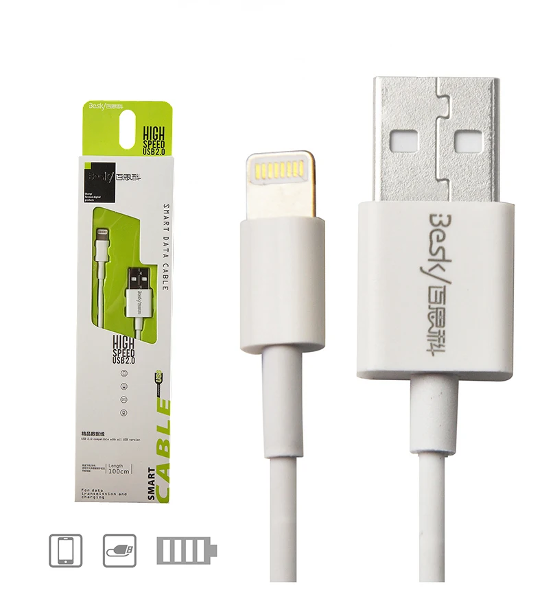 Fast Charge Lighting Cable 