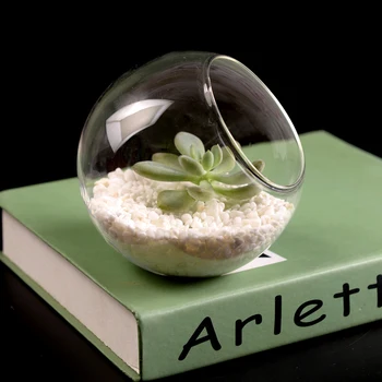 12pcs/pack Diameter=12cm Oblique Mouth Glass Terrarium Side Open Glass Fishbowl Landscape Glass Container Home Decorative
12pcs/pack Diameter=12cm Oblique Mouth Glass Terrarium Side Open Glass Fishbowl Landscape Glass Container Home Decorative