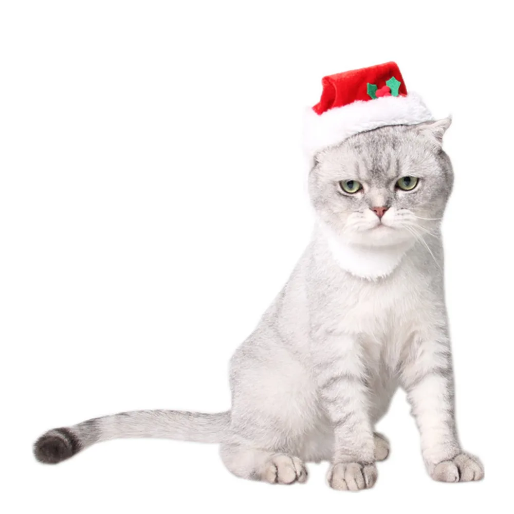 Christmas-Halloween-Pet-Costume-Puppy-Dog-Cats-Hat-Party-Dress-Up-Cap-Party-Costume-Headwear-Caps (2)