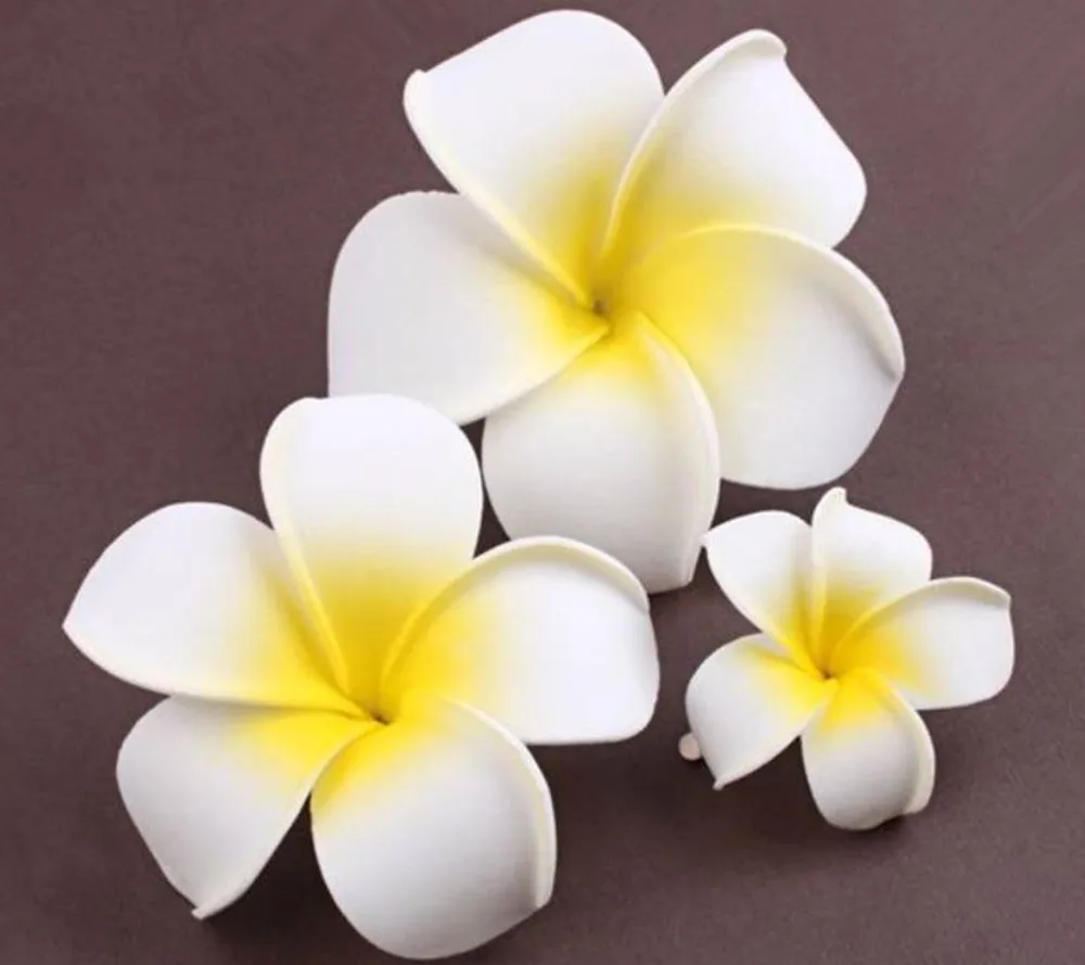 hair clip (4).jpg