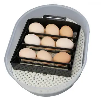 Adeeing Smart Poultry Incubation Equipment Temperature Control Duck Bird Chicken Automatic Incubator
Adeeing Smart Poultry Incubation Equipment Temperature Control Duck Bird Chicken Automatic Incubator