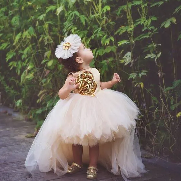 Champagne high low ball gown tulle baby first birthday party outfit little kid toddler flower girl dresses with gold sequins bow
Champagne high low ball gown tulle baby first birthday party outfit little kid toddler flower girl dresses with gold sequins bow