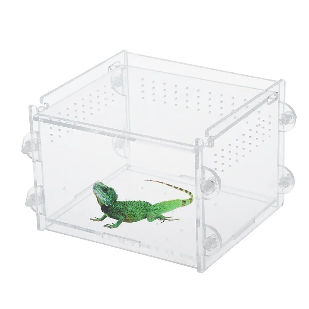 Acrylic Reptiles Terrarium Container Amphibians Larvae Spiders Ants Scorpions Lizards Chameleon Habitat Cage
Acrylic Reptiles Terrarium Container Amphibians Larvae Spiders Ants Scorpions Lizards Chameleon Habitat Cage