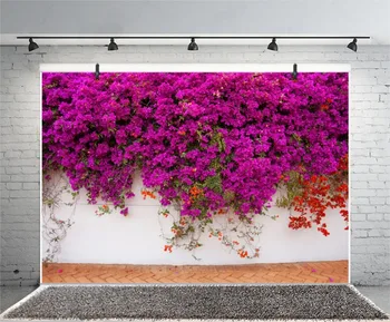 Laeacco Spring Blooming Flowers Wall Portrait Photography Background Customized Photographic Backdrops For Photo Studio
Laeacco Spring Blooming Flowers Wall Portrait Photography Background Customized Photographic Backdrops For Photo Studio