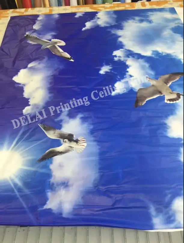 Pigeon flying in the sky Printing Ceiling Film blue sky with sun PVC Stretch Ceiling Film
Pigeon flying in the sky Printing Ceiling Film blue sky with sun PVC Stretch Ceiling Film