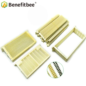 Beekeeping Queen Rearing System Bee Queen Rearing For Apis Mellifera Hot sale Height quatlity
Beekeeping Queen Rearing System Bee Queen Rearing For Apis Mellifera Hot sale Height quatlity