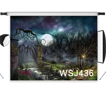 LB Polyester & Vinyl Backdrops Background For Photography Studio Backdrop Photo Props Halloween Moonlight Cemetery Scary Forest
LB Polyester & Vinyl Backdrops Background For Photography Studio Backdrop Photo Props Halloween Moonlight Cemetery Scary Forest