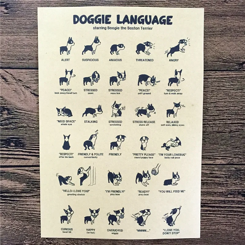 Free ship Vintage Animal Dog Pet Paper Poster Retro Wall Art Crafts Sticker Living Room Print Paint Home decor 42x30cm ZIP-A122
Free ship Vintage Animal Dog Pet Paper Poster Retro Wall Art Crafts Sticker Living Room Print Paint Home decor 42x30cm ZIP-A122