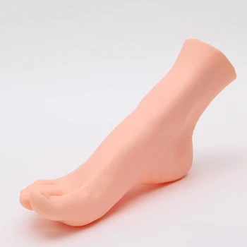 CAMMITEVER Right Foot Mannequin Realistic Fleshtone Female Mannequin Foot For Shoes Jewelry Display
CAMMITEVER Right Foot Mannequin Realistic Fleshtone Female Mannequin Foot For Shoes Jewelry Display