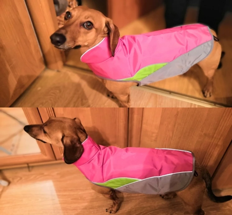 Medium Large Dogs Coat Waterproof Reflective Dog Jacket 4 Color Pet Coat Clothes for Pet Leash hole XS-2XL
Medium Large Dogs Coat Waterproof Reflective Dog Jacket 4 Color Pet Coat Clothes for Pet Leash hole XS-2XL
