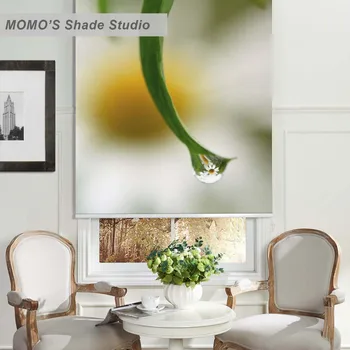 MOMO Blackout Painting Window Curtains Roller Shades Blinds Thermal Insulated Fabric Custom Size,PRB set125
MOMO Blackout Painting Window Curtains Roller Shades Blinds Thermal Insulated Fabric Custom Size,PRB set125