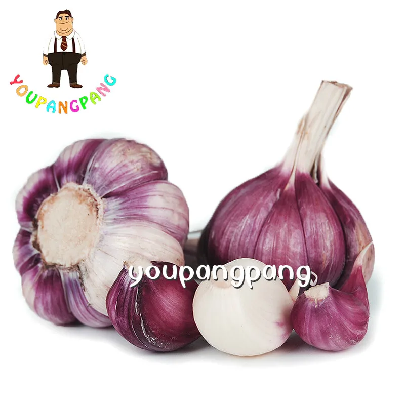 100PCS and 2 different colors of garlic bonsai, green healthy vegetable plants chioce red and white garlic plants
100PCS and 2 different colors of garlic bonsai, green healthy vegetable plants chioce red and white garlic plants
