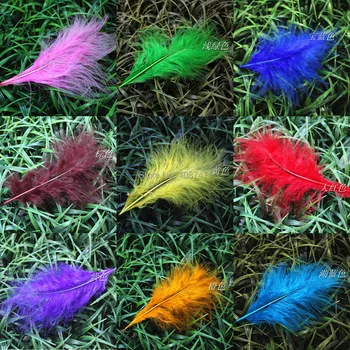 Free shipping 1000pcs 8-15cm mix colored natural real turkey feathers plumes jewelery accessories hair carft making for sale
Free shipping 1000pcs 8-15cm mix colored natural real turkey feathers plumes jewelery accessories hair carft making for sale