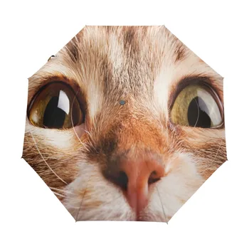 Big Eyes Cat Automatic Umbrella Wind Resistant Folding Automatic Umbrella Rain Women Auto Luxury Big Windproof Umbrellas
Big Eyes Cat Automatic Umbrella Wind Resistant Folding Automatic Umbrella Rain Women Auto Luxury Big Windproof Umbrellas