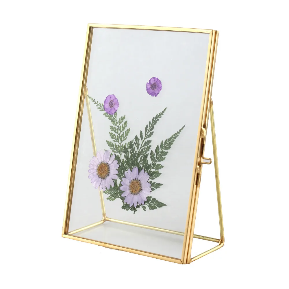 Tabletop Gold Brass Glass Artwork Certificate Photo Picture Display Frame Plant Specimen Clip Modern Decor Card Holder 5" X 7"
Tabletop Gold Brass Glass Artwork Certificate Photo Picture Display Frame Plant Specimen Clip Modern Decor Card Holder 5" X 7"