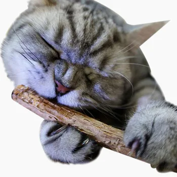 2pcs Pure Natural Catnip Pet Cat Molar Toothpaste Stick Chewing Cleaning Teeth Cat Toys Snacks Sticks Pet Cat Supplies D2
2pcs Pure Natural Catnip Pet Cat Molar Toothpaste Stick Chewing Cleaning Teeth Cat Toys Snacks Sticks Pet Cat Supplies D2
