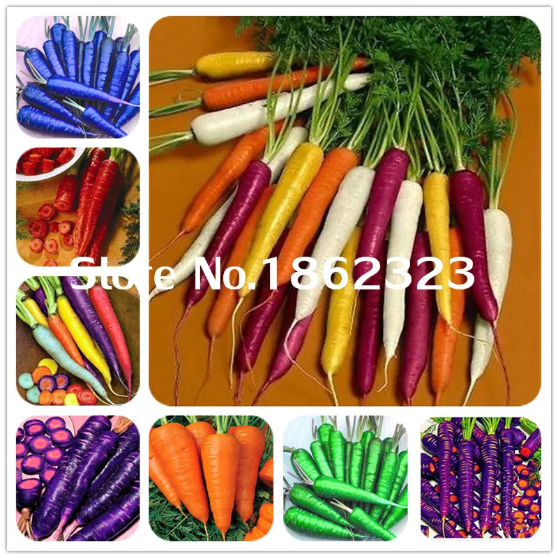 300Pcs/Bag Parisian Carrot Bonsai Non-GMO Vegetable Bonsai Kitchen Assisted Food Outdoor Plants Pot For Home Garden Edible Plant
300Pcs/Bag Parisian Carrot Bonsai Non-GMO Vegetable Bonsai Kitchen Assisted Food Outdoor Plants Pot For Home Garden Edible Plant