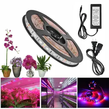 LED Grow Light Full Spectrum LED Strip Lights red blue 5050 LED Phyto Lamps Greenhouse Hydroponic Plant lamp DC12V Power Adapter
LED Grow Light Full Spectrum LED Strip Lights red blue 5050 LED Phyto Lamps Greenhouse Hydroponic Plant lamp DC12V Power Adapter