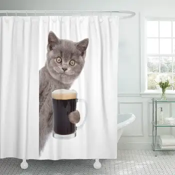 Funny Happy Cat Holding Beer Peeking from Behind Empty Board White Animal Smile Above Decor Shower Curtains Bathroom Curtain
Funny Happy Cat Holding Beer Peeking from Behind Empty Board White Animal Smile Above Decor Shower Curtains Bathroom Curtain