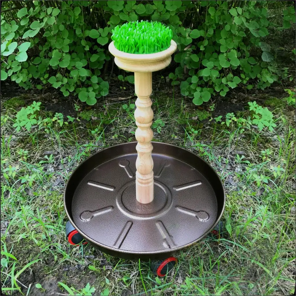 Falconry Perch Eagle Sparrow Hawk Kestrel Platform Rest Frame Eagle Bar Full Scaffolding Wood Material Equipment Assembly Supply
Falconry Perch Eagle Sparrow Hawk Kestrel Platform Rest Frame Eagle Bar Full Scaffolding Wood Material Equipment Assembly Supply