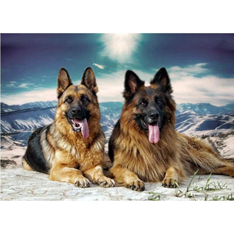 5D DIY Diamond Embroidery Sale Animal German Shepherd Dog Pet Diamond Painting Cross-Stitch Kits 3D Diamond Mosaic Wall Stickers
5D DIY Diamond Embroidery Sale Animal German Shepherd Dog Pet Diamond Painting Cross-Stitch Kits 3D Diamond Mosaic Wall Stickers