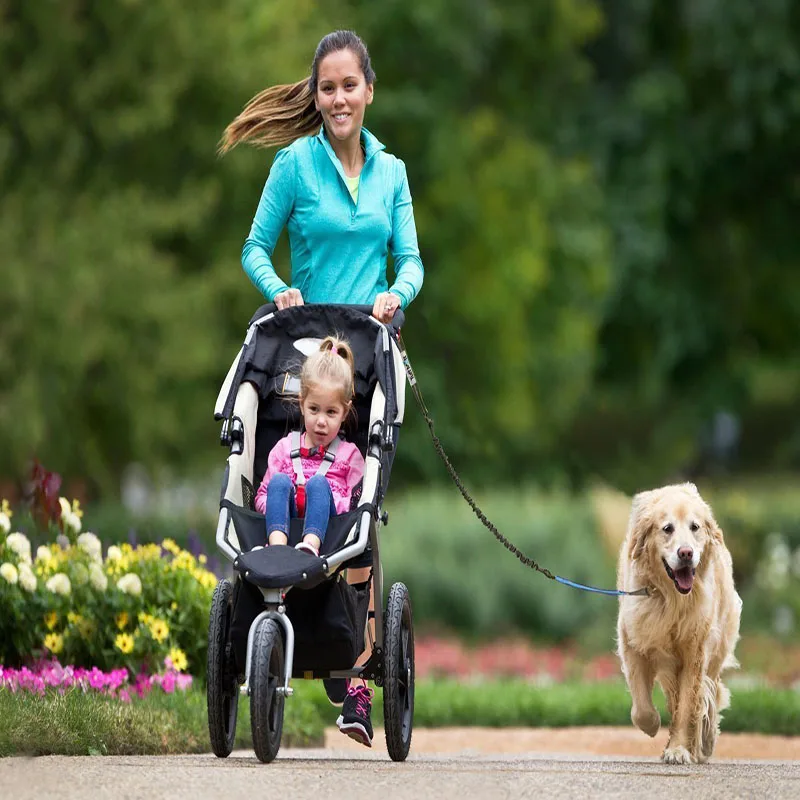 Hands Free Dog Leash Image