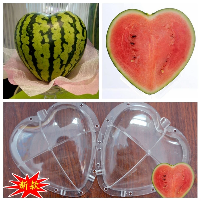 WHISM Big Size Plastic Clear Heart Square Watermelon Growing Mold Transparent Fruit Growth Forming Shaping Mould Garden Supplier
WHISM Big Size Plastic Clear Heart Square Watermelon Growing Mold Transparent Fruit Growth Forming Shaping Mould Garden Supplier