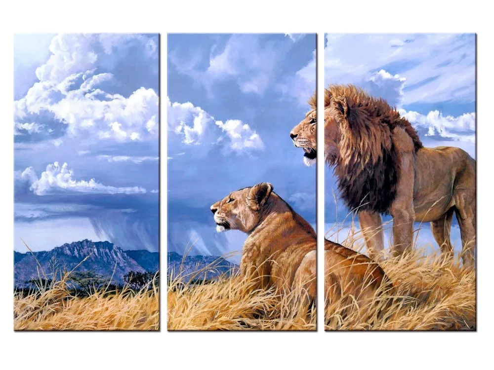 3 pieces / set Lion Canvas Printings Modern Painting On Canvas Animal world Wall Pictures For Home Decor
3 pieces / set Lion Canvas Printings Modern Painting On Canvas Animal world Wall Pictures For Home Decor