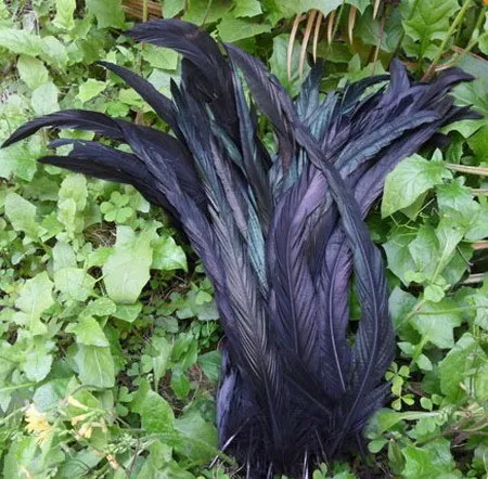 Free shipping 200pcs/lot Black color Rooster feathers natural rooster saddle feather rooster cock plumage10-12inch KX01
Free shipping 200pcs/lot Black color Rooster feathers natural rooster saddle feather rooster cock plumage10-12inch KX01
