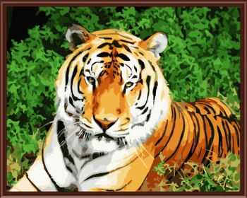 Frameless picture on wall acrylic painting by numbers drawing by numbers unique gift coloring by numbers Tiger G362
Frameless picture on wall acrylic painting by numbers drawing by numbers unique gift coloring by numbers Tiger G362