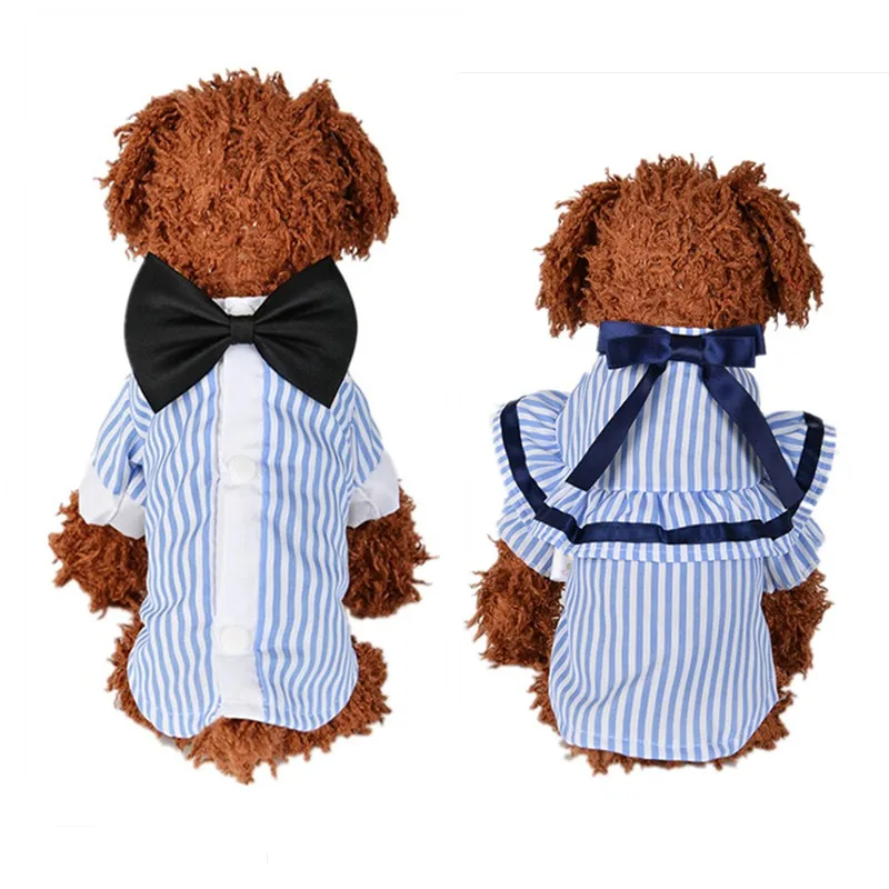 Pet Cat Clothes Cute T Shirt for Cats Small Dogs Puppy Kitten Princess Costume Summer Cat Shirt Couples Shirt with Bow
Pet Cat Clothes Cute T Shirt for Cats Small Dogs Puppy Kitten Princess Costume Summer Cat Shirt Couples Shirt with Bow