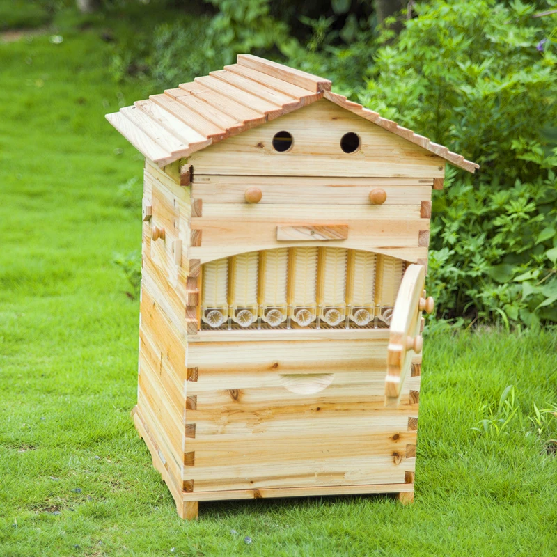 Beekeeping Tool Smart Wooden Beehive Langstroth honey out flowing Bee Hive with 7 PCS Auto Frames
Beekeeping Tool Smart Wooden Beehive Langstroth honey out flowing Bee Hive with 7 PCS Auto Frames