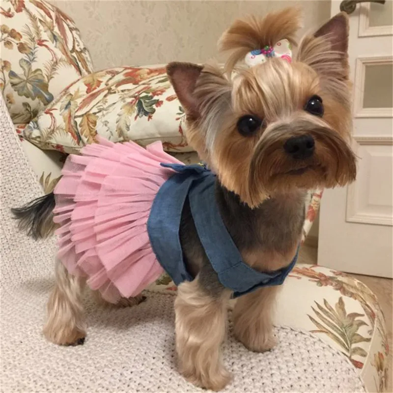 Summer Dog Dress Pet Dog Clothes for Small Dog Wedding Dress Skirt Puppy Clothing Spring Fashion Jean Pet Clothes10