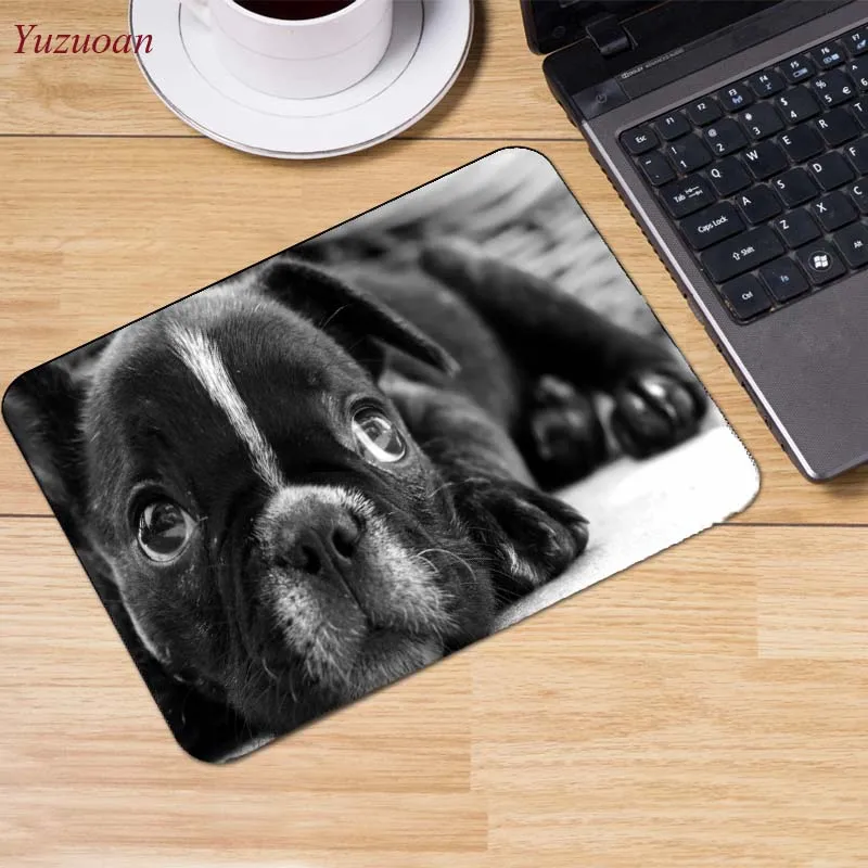 16dogs-thought-lost-dog-widescreen-wallpaper-1920x1080 (1)