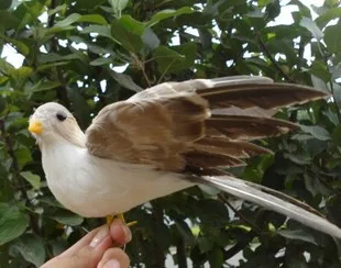 new simulation wings bird model foam&feather gray bird model gift about 22cm 1138
new simulation wings bird model foam&feather gray bird model gift about 22cm 1138