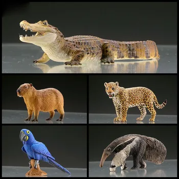Japan Q Museum capsule toys WILD RUSH World Animal South America Rainforest macaw Giant anteater caiman Capybara Jaguar figures
Japan Q Museum capsule toys WILD RUSH World Animal South America Rainforest macaw Giant anteater caiman Capybara Jaguar figures