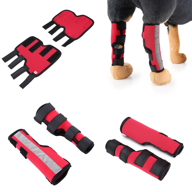 Protection Accessories Dog Kneepad Tools Canine Rear Leg Nylon Durable Walking Running Dog Protection Apparels
Protection Accessories Dog Kneepad Tools Canine Rear Leg Nylon Durable Walking Running Dog Protection Apparels