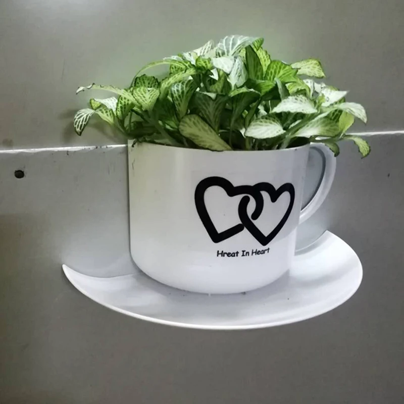 1 pc Tooth Brush Holder Wall Mount Stand Toothbrush Holder Sticky Hooks Storeage Box Bathroom Tools
1 pc Tooth Brush Holder Wall Mount Stand Toothbrush Holder Sticky Hooks Storeage Box Bathroom Tools