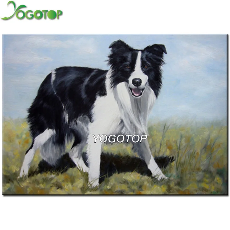 YOGOTOP Diy Diamond Painting Cross Stitch kits Full Diamond Embroidery border collie Dog 5D Diamond Mosaic Needlework VD997
YOGOTOP Diy Diamond Painting Cross Stitch kits Full Diamond Embroidery border collie Dog 5D Diamond Mosaic Needlework VD997