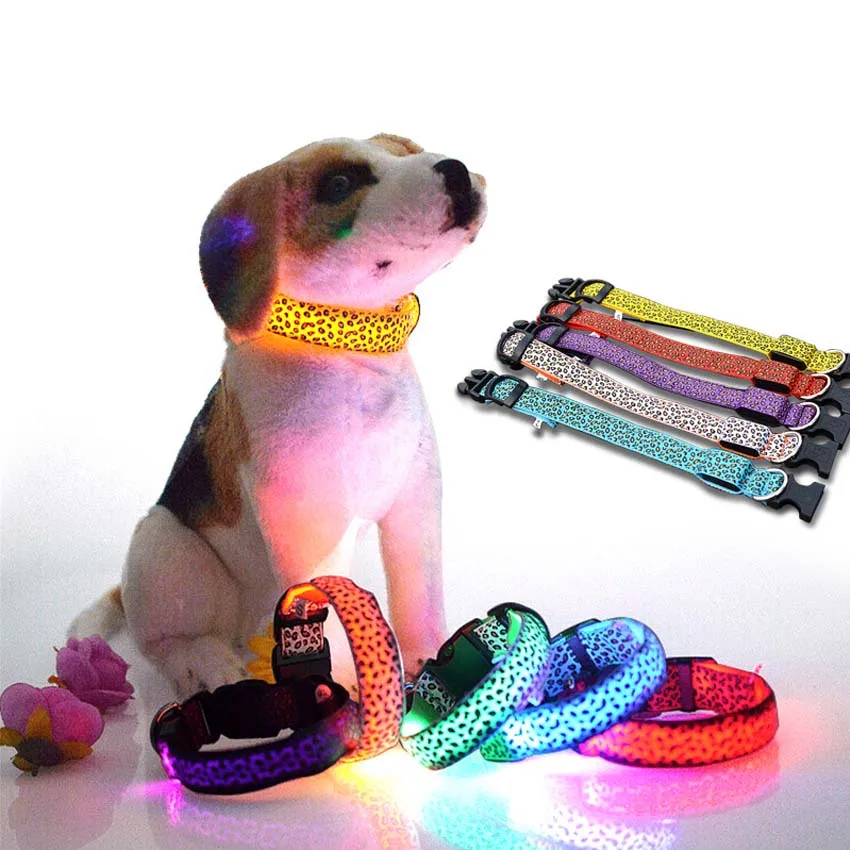 Petdog Ru Интернет Магазин Товаров