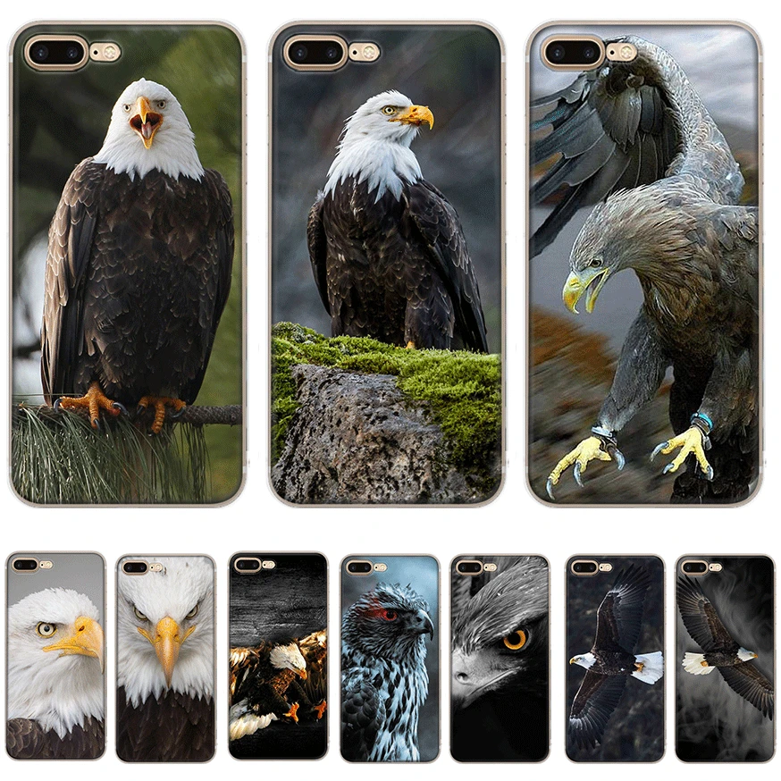 Desxz Bird Eagle Wallpaper Mobile Phone Case for iPhone 11 Pro XS Max X XR iPhone 6S 6 78 Plus 5 5s SE Shell
Desxz Bird Eagle Wallpaper Mobile Phone Case for iPhone 11 Pro XS Max X XR iPhone 6S 6 78 Plus 5 5s SE Shell