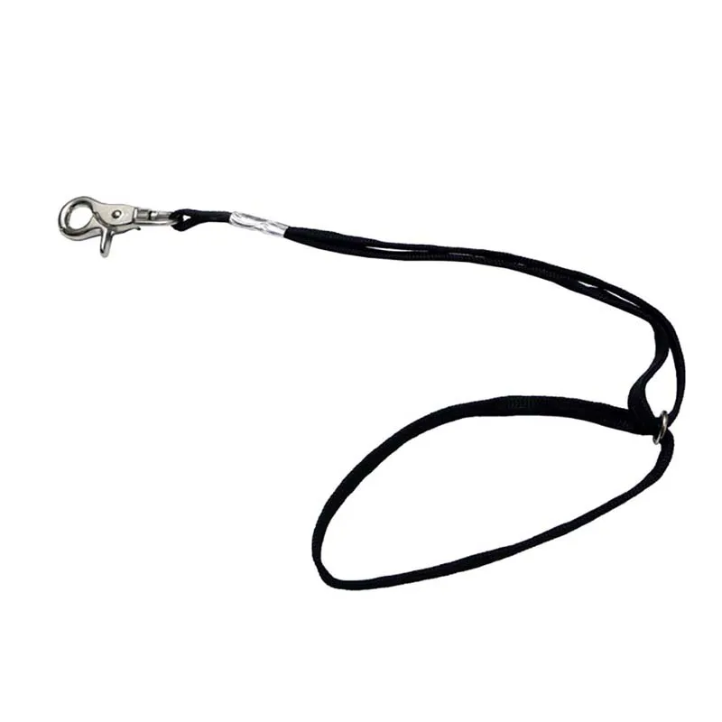 45cm Dog Pet Cat Animal Noose Loop Lock Clip Rope For Grooming Table Arm Bath
45cm Dog Pet Cat Animal Noose Loop Lock Clip Rope For Grooming Table Arm Bath