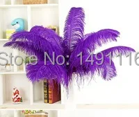 Wholesale 50 pcs / lot Beautiful Purple ostrich feather 16-18inches / 40-45cm DIY jewelry decoration / wedding celebration
Wholesale 50 pcs / lot Beautiful Purple ostrich feather 16-18inches / 40-45cm DIY jewelry decoration / wedding celebration