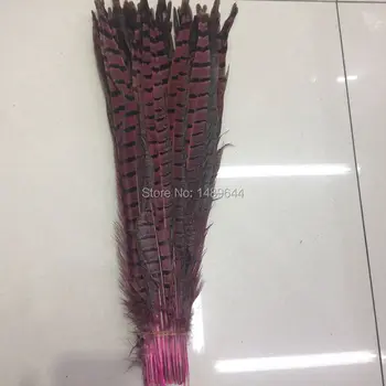 Wholesale 50pcs. Beautiful pink pheasant feathers 16-18 inches / 40-45 cm, natural pheasant feather decorations
Wholesale 50pcs. Beautiful pink pheasant feathers 16-18 inches / 40-45 cm, natural pheasant feather decorations