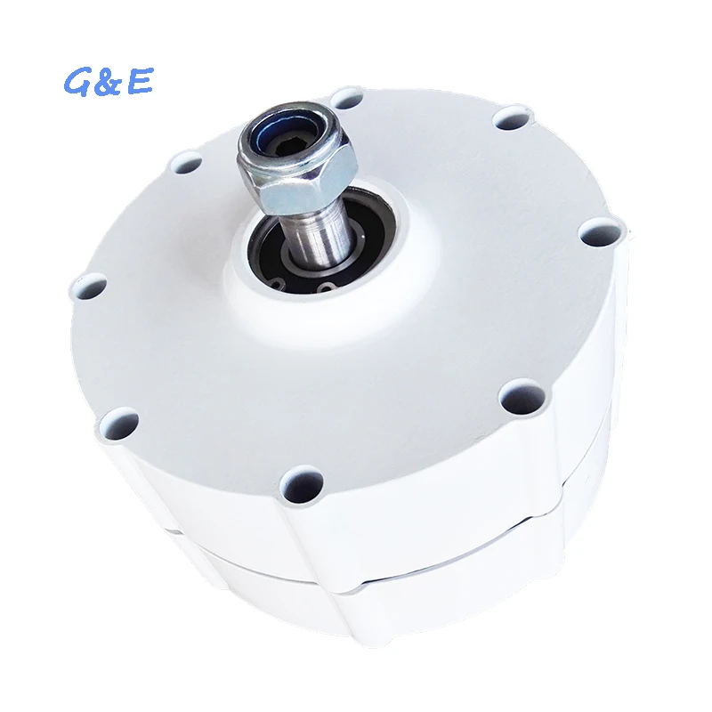 Low Rpm PMG With DC Controller 600W Permanent Magnet Generator 12V 24V 48V Alternator
Low Rpm PMG With DC Controller 600W Permanent Magnet Generator 12V 24V 48V Alternator